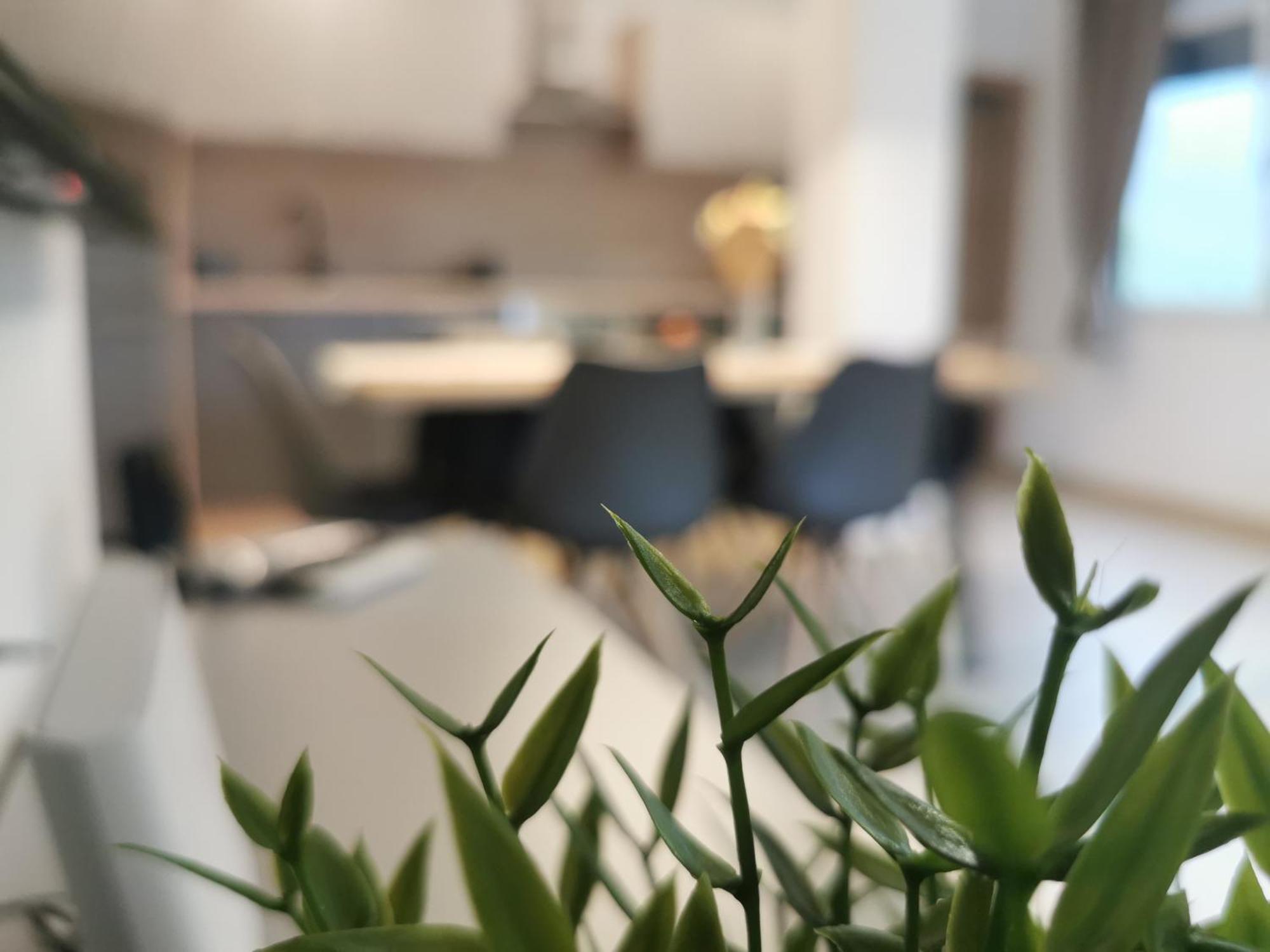 Apartma Bella Nadiza Kobarid Esterno foto